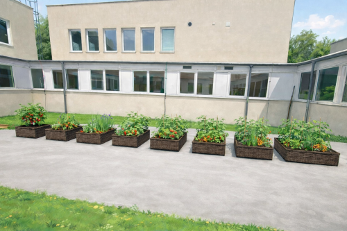 Od semienka k tanieru - komunitné záhony v MŠ Stará Turá