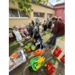 Od semienka po tanier