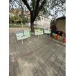 Od semienka po tanier