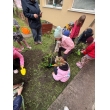Od semienka po tanier