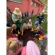 Od semienka po tanier